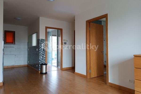 1 bedroom with open-plan kitchen flat to rent, 56 m², V Lázních, Jesenice