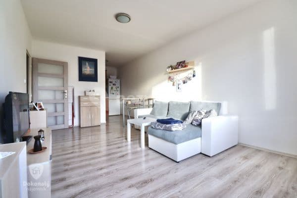 1 bedroom with open-plan kitchen flat to rent, 45 m², 17. listopadu, 