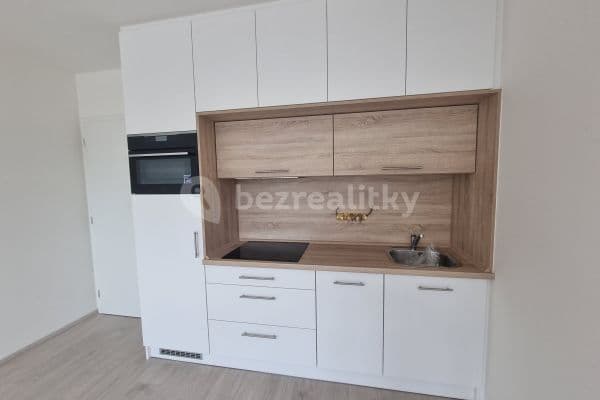 1 bedroom with open-plan kitchen flat to rent, 52 m², Dělnická, Praha 1 bedroom with open-plan kitchen flat to rent, 52 m², Dělnická, Praha