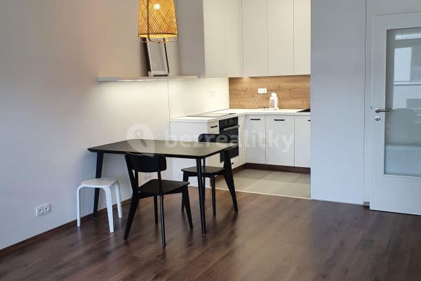 1 bedroom with open-plan kitchen flat to rent, 62 m², Nemocniční, Plzeň