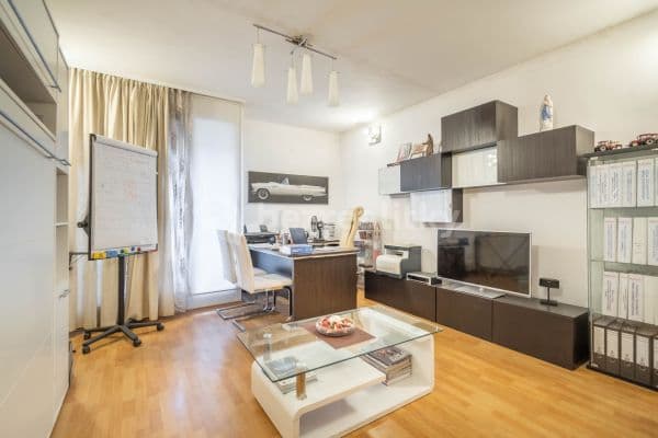 1 bedroom with open-plan kitchen flat for sale, 54 m², Generála Selnera, 