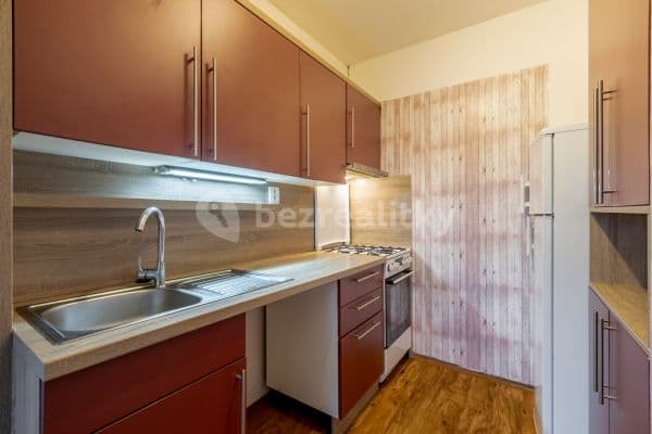 1 bedroom with open-plan kitchen flat to rent, 43 m², Kozmíkova, Prague, Prague
