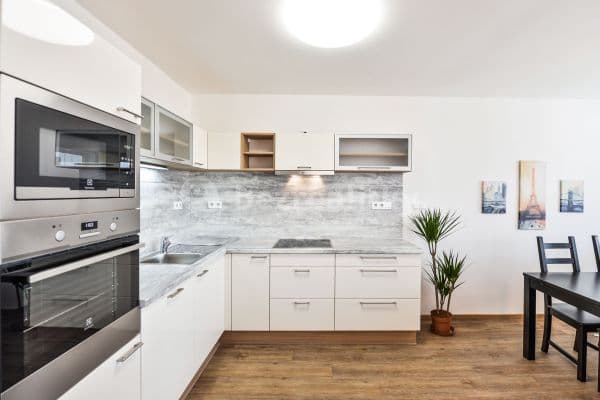 2 bedroom with open-plan kitchen flat to rent, 85 m², Podvinný mlýn, Prague, Prague