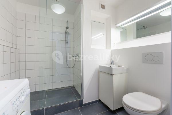 1 bedroom with open-plan kitchen flat to rent, 44 m², Hráského, Prague, Prague