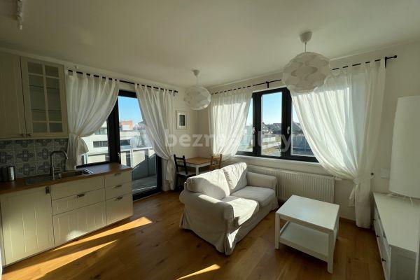 1 bedroom with open-plan kitchen flat to rent, 46 m², Žižkova, Horoměřice