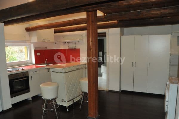 1 bedroom with open-plan kitchen flat to rent, 70 m², Na Cikánce, Prague, Prague