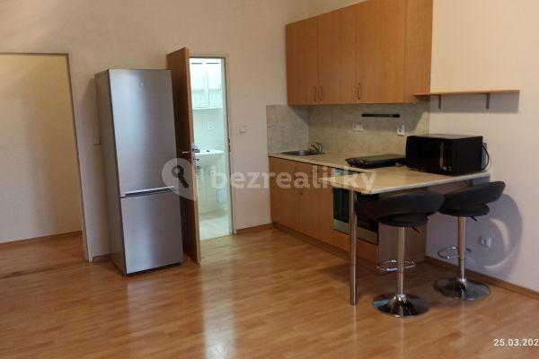1 bedroom with open-plan kitchen flat to rent, 45 m², Pastrnkova, Brno, Jihomoravský Region