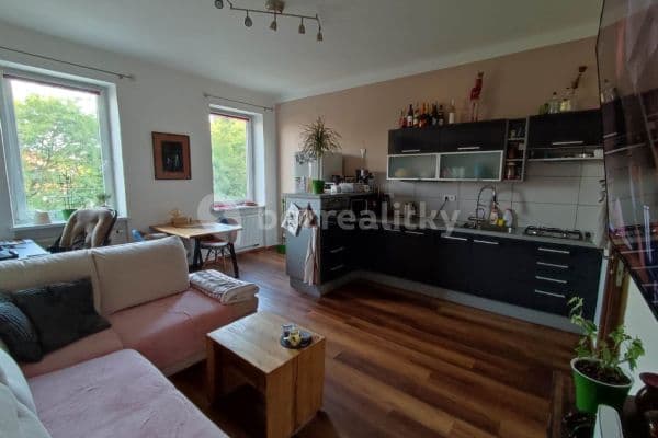 1 bedroom with open-plan kitchen flat to rent, 55 m², Edisonova, Olomouc 1 bedroom with open-plan kitchen flat to rent, 55 m², Edisonova, Olomouc