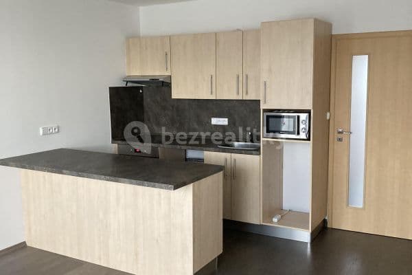 1 bedroom with open-plan kitchen flat to rent, 46 m², Gabinova, Praha 1 bedroom with open-plan kitchen flat to rent, 46 m², Gabinova, Praha