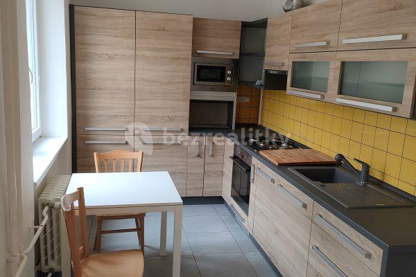 1 bedroom with open-plan kitchen flat to rent, 46 m², I. P. Pavlova, Olomouc