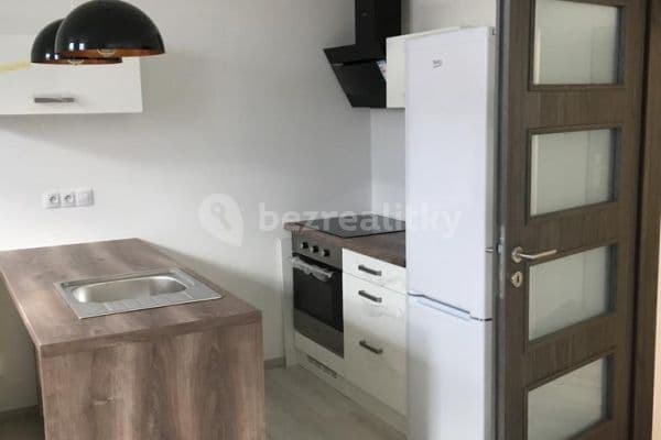 Studio flat to rent, 37 m², U Velkého rybníka, Plzeň Studio flat to rent, 37 m², U Velkého rybníka, Plzeň