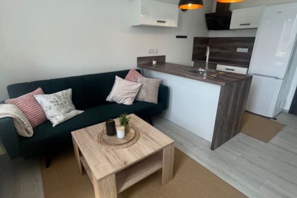 Studio flat to rent, 37 m², U Velkého rybníka, Plzeň Studio flat to rent, 37 m², U Velkého rybníka, Plzeň
