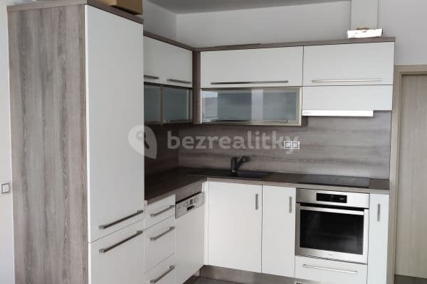 1 bedroom with open-plan kitchen flat to rent, 52 m², Višňová, Moravany