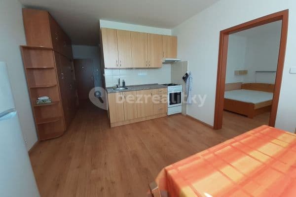 1 bedroom with open-plan kitchen flat to rent, 34 m², Srbská, Brno, Jihomoravský Region