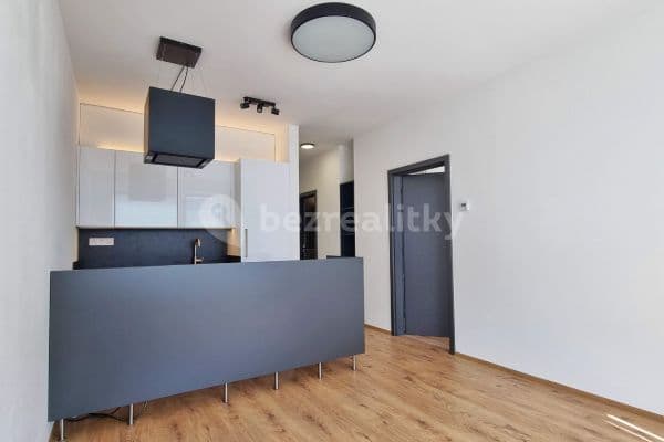 1 bedroom with open-plan kitchen flat to rent, 44 m², Formanská, Hlavní město Praha 1 bedroom with open-plan kitchen flat to rent, 44 m², Formanská, Hlavní město Praha