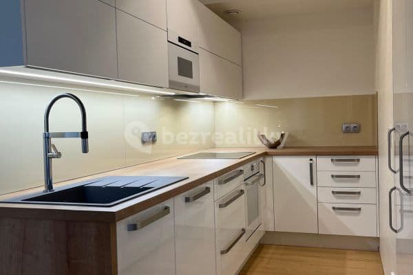 1 bedroom with open-plan kitchen flat to rent, 55 m², Hodonínská, Praha 1 bedroom with open-plan kitchen flat to rent, 55 m², Hodonínská, Praha