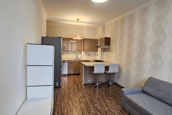 1 bedroom with open-plan kitchen flat to rent, 47 m², U Nových domů Ⅱ, Hlavní město Praha 1 bedroom with open-plan kitchen flat to rent, 47 m², U Nových domů Ⅱ, Hlavní město Praha