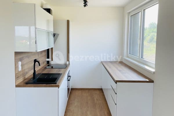 1 bedroom with open-plan kitchen flat to rent, 55 m², Ondrákové, Praha