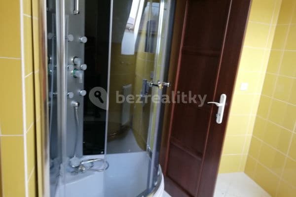 2 bedroom with open-plan kitchen flat to rent, 85 m², Plchov 2 bedroom with open-plan kitchen flat to rent, 85 m², Plchov