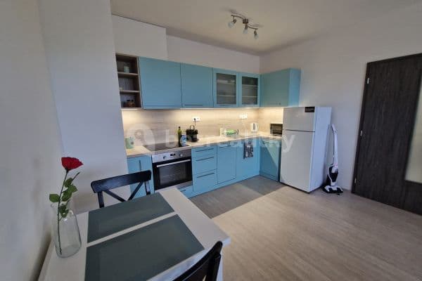 1 bedroom with open-plan kitchen flat to rent, 49 m², Chvalovka, Brno 1 bedroom with open-plan kitchen flat to rent, 49 m², Chvalovka, Brno
