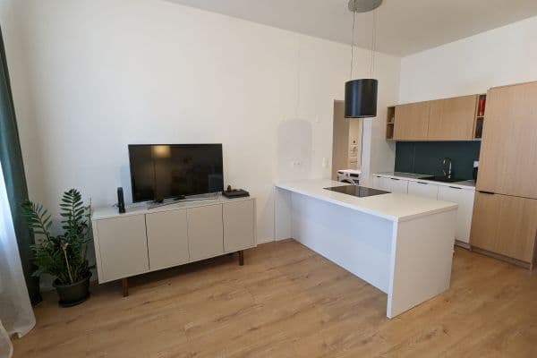 2 bedroom with open-plan kitchen flat to rent, 75 m², Bořivojova, Praha 2 bedroom with open-plan kitchen flat to rent, 75 m², Bořivojova, Praha