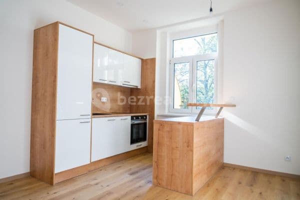 1 bedroom with open-plan kitchen flat to rent, 65 m², Lounských, Prague, Prague