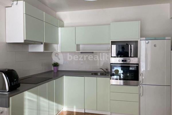 1 bedroom with open-plan kitchen flat to rent, 40 m², Luštěnická, Praha