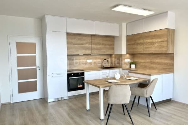 1 bedroom with open-plan kitchen flat to rent, 58 m², Východní, Pardubice 1 bedroom with open-plan kitchen flat to rent, 58 m², Východní, Pardubice