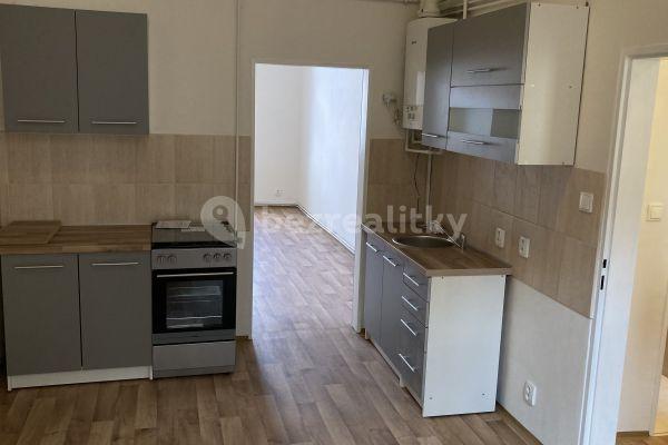 1 bedroom with open-plan kitchen flat to rent, 42 m², Heydukova, Prague, Prague