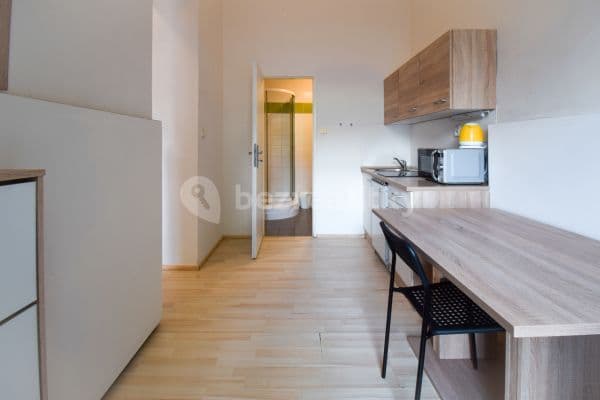 1 bedroom flat to rent, 23 m², Václavská, Brno