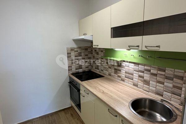 1 bedroom with open-plan kitchen flat to rent, 45 m², K vodárně, Čerčany