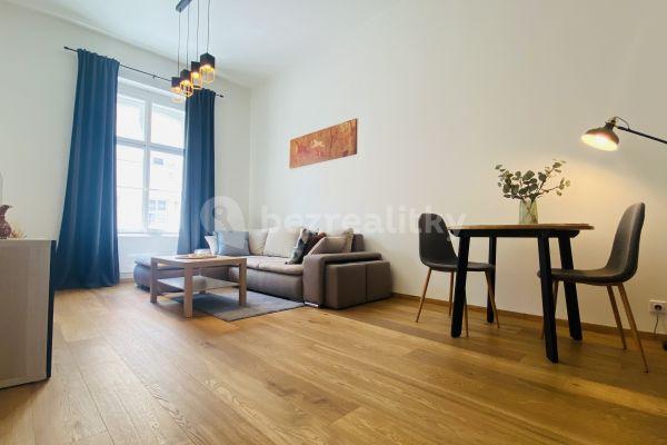 1 bedroom with open-plan kitchen flat to rent, 54 m², Plzeňská, Prague, Prague