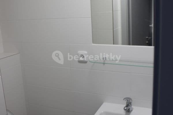 Small studio flat to rent, 18 m², Družstevní, Kněževes Small studio flat to rent, 18 m², Družstevní, Kněževes