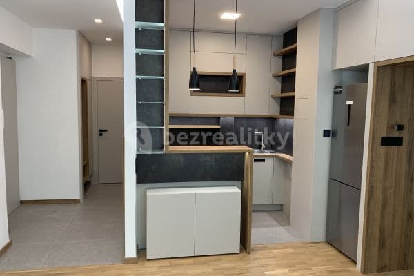 1 bedroom with open-plan kitchen flat to rent, 42 m², Žerotínova, Prague, Prague