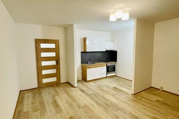 Studio flat to rent, 36 m², Spartakiádní, Ústí nad Labem Studio flat to rent, 36 m², Spartakiádní, Ústí nad Labem