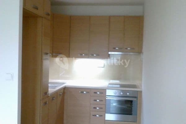 1 bedroom with open-plan kitchen flat to rent, 45 m², Hráského, Praha 1 bedroom with open-plan kitchen flat to rent, 45 m², Hráského, Praha