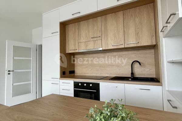 1 bedroom with open-plan kitchen flat to rent, 58 m², Východní, Pardubice 1 bedroom with open-plan kitchen flat to rent, 58 m², Východní, Pardubice