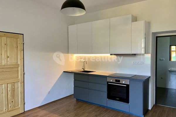 1 bedroom with open-plan kitchen flat to rent, 60 m², 27220, Kropáčova Vrutice