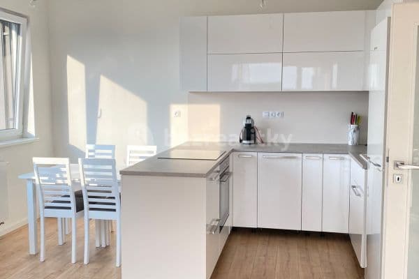 1 bedroom with open-plan kitchen flat to rent, 55 m², Emy Destinové, Jinočany
