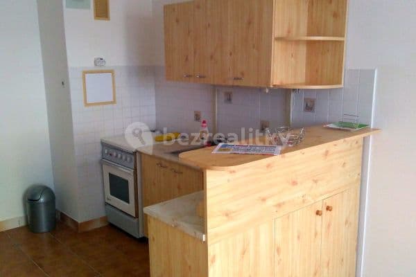 1 bedroom with open-plan kitchen flat to rent, 40 m², Holandská, Kladno, Středočeský Region