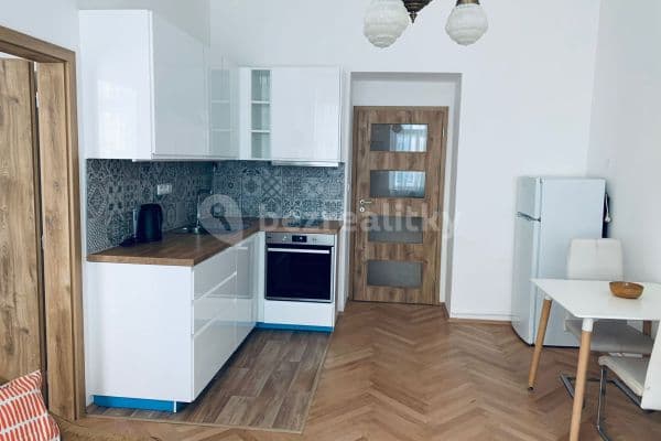 1 bedroom with open-plan kitchen flat to rent, 50 m², Sudoměřská, Prague, Prague