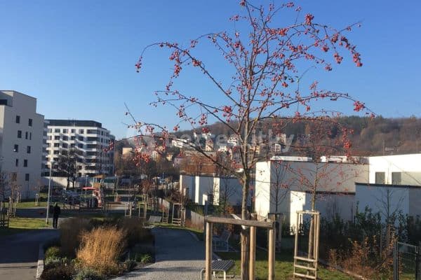 3 bedroom with open-plan kitchen flat to rent, 109 m², Walterovo náměstí, Hlavní město Praha 3 bedroom with open-plan kitchen flat to rent, 109 m², Walterovo náměstí, Hlavní město Praha