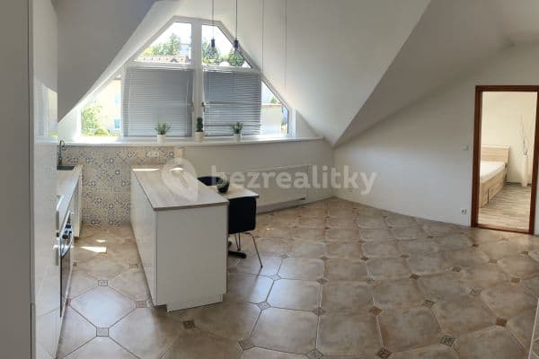 1 bedroom with open-plan kitchen flat to rent, 48 m², Jinočanská, Praha