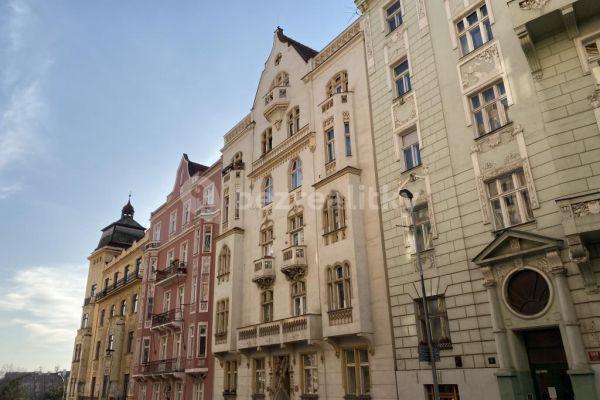 1 bedroom with open-plan kitchen flat to rent, 55 m², Norská, Praha