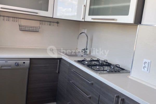 2 bedroom with open-plan kitchen flat to rent, 58 m², Rooseveltova, Chomutov