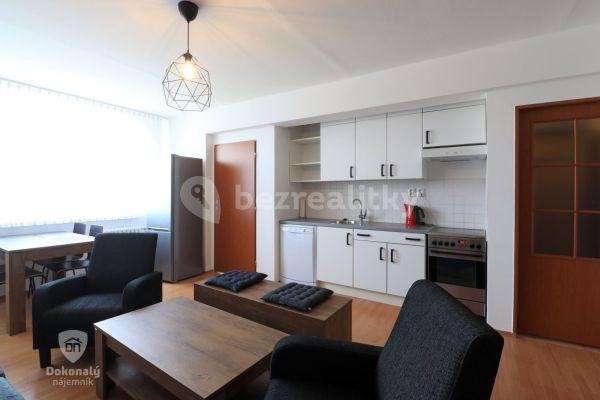 1 bedroom with open-plan kitchen flat to rent, 42 m², Na Radouči, Mladá Boleslav, Středočeský Region