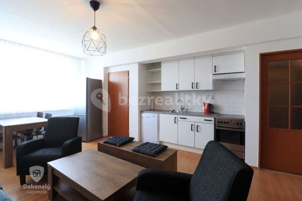 1 bedroom with open-plan kitchen flat to rent, 42 m², Na Radouči, 