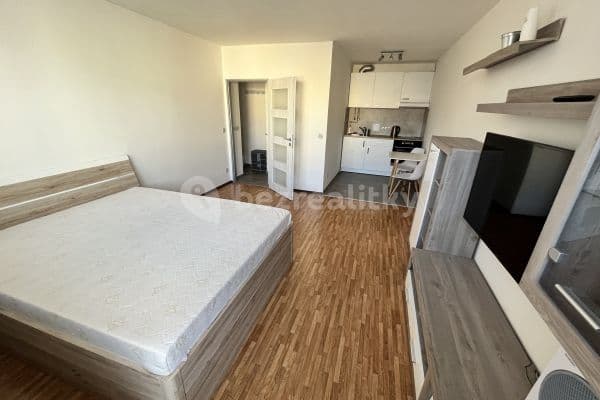 Studio flat to rent, 30 m², Balbínova, Praha Studio flat to rent, 30 m², Balbínova, Praha