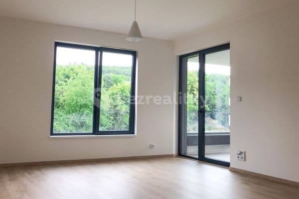 1 bedroom with open-plan kitchen flat to rent, 57 m², U Sluncové, Praha