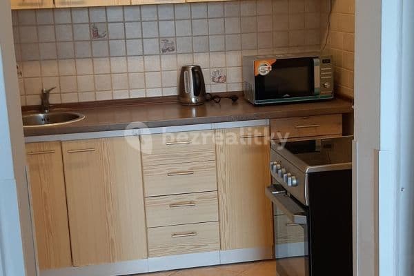 1 bedroom with open-plan kitchen flat to rent, 43 m², Mendelova, Hlavní město Praha